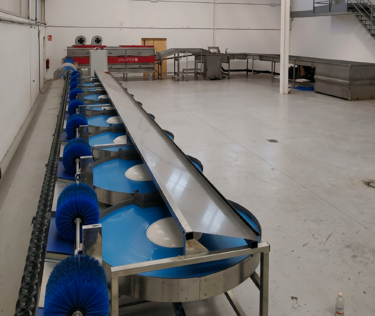 Máquina clasificadora