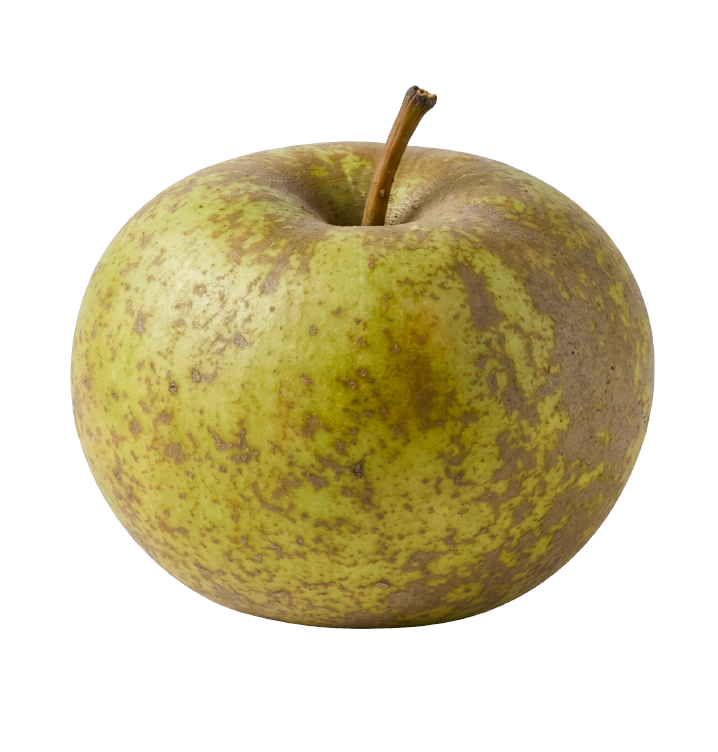 Reineta